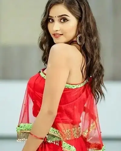 Escort In Meerut